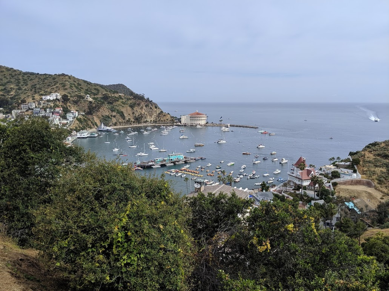 Illustration for article titled Driving on Catalina Island